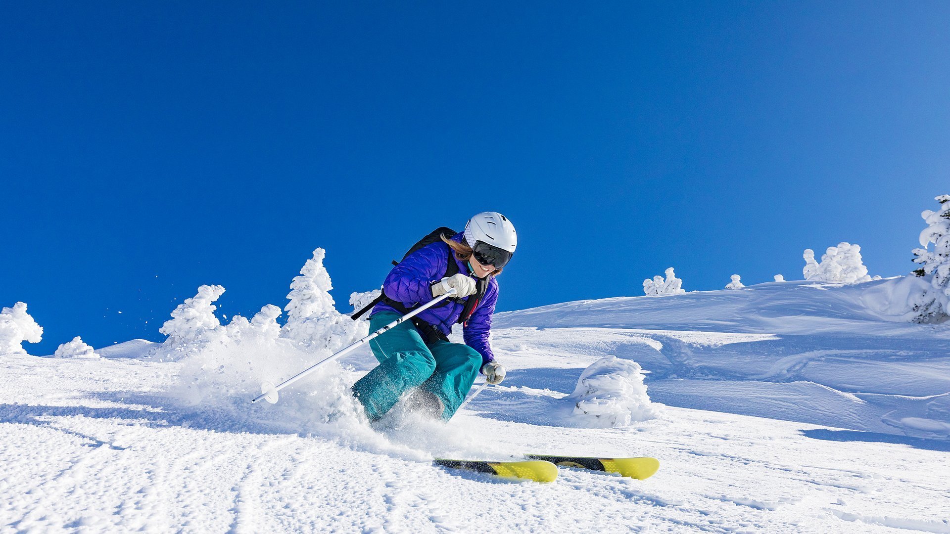 开云体育官网下载-高尔的全能表现，提升袋鼠队攻防两端的实力，高尔的全能表现,提升袋鼠队攻防两端的实力和能力
